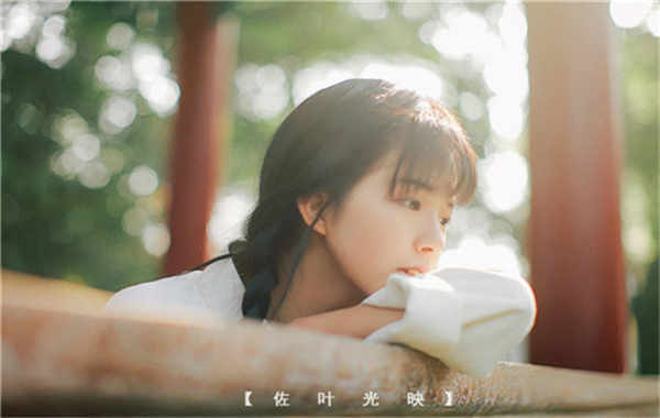 盐津胎儿性别鉴定需要多少钱(胎儿性别鉴定的方法)